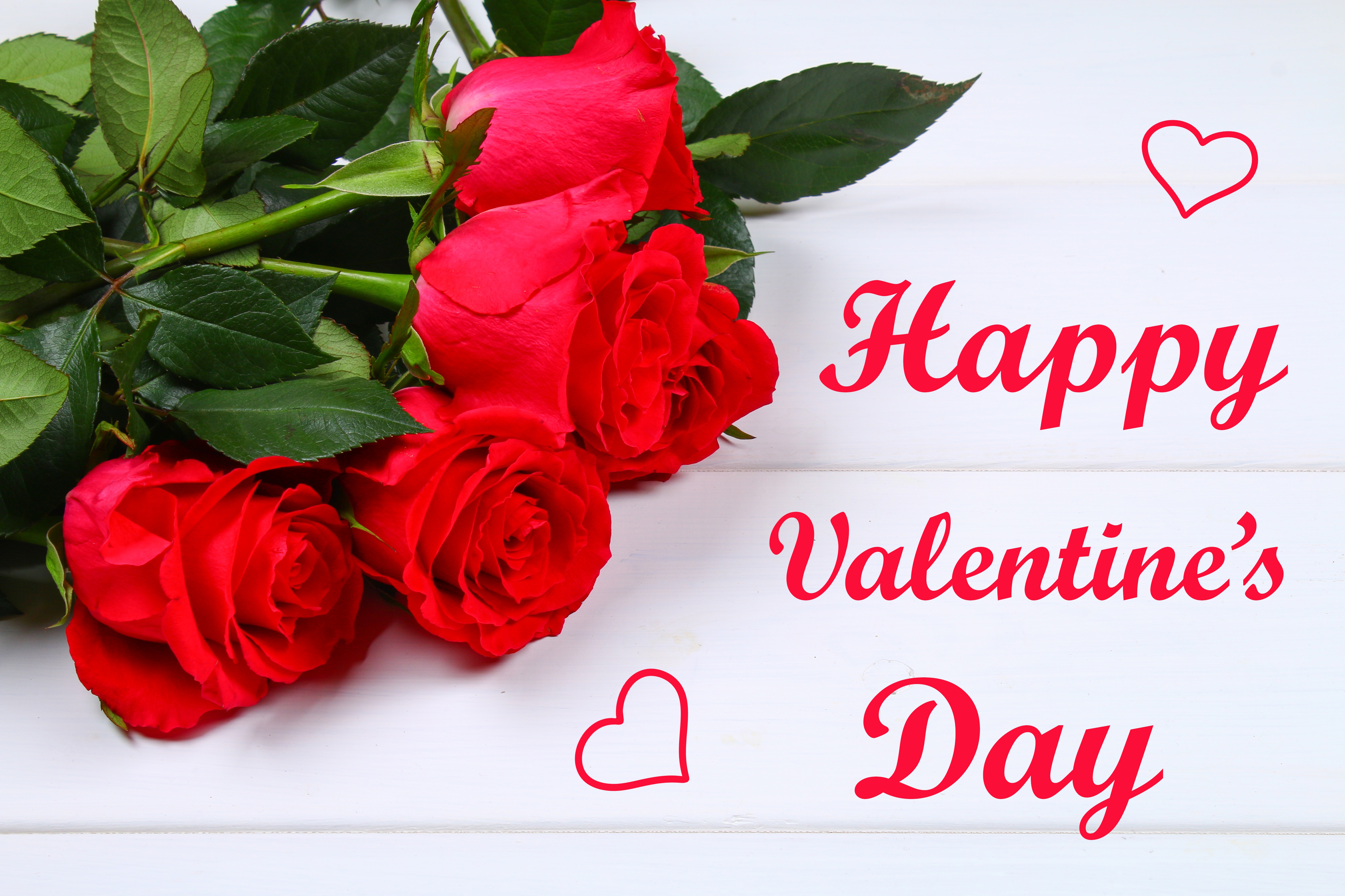 Download Red Flower Red Rose Flower Rose Happy Valentine s Day Holiday Download Red Flower Red Rose Flower Rose Happy Valentine s Day Holiday