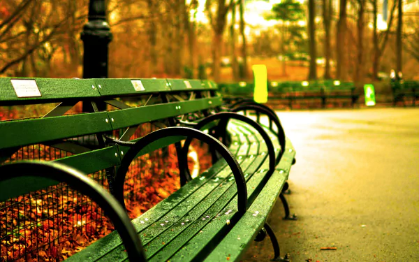 man made bench HD Desktop Wallpaper | Background Image