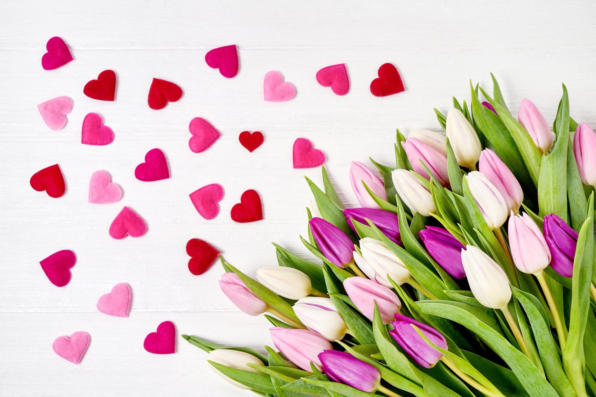 Download Purple Flower Pink Flower Tulip Heart Flower Photography Love 4k Ultra HD Wallpaper