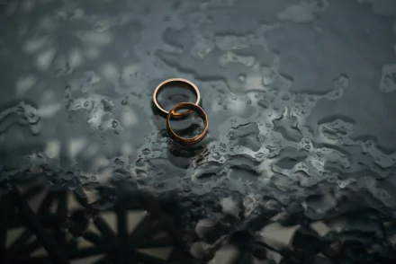 ring holiday wedding HD Desktop Wallpaper | Background Image