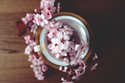 bouquet man made flower HD Desktop Wallpaper | Background Image