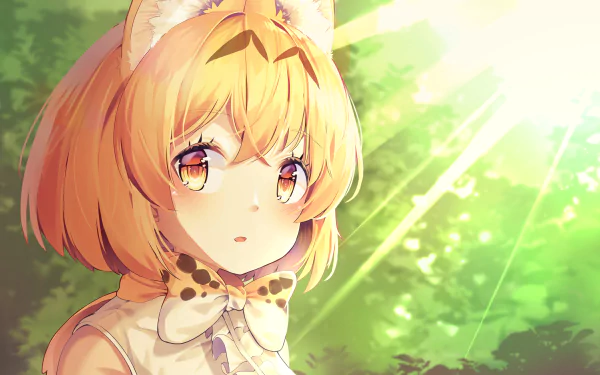 Anime-style Serval cat girl from Kemono Friends bathed in warm sunlight, featured in a vibrant HD PC desktop wallpaper background.