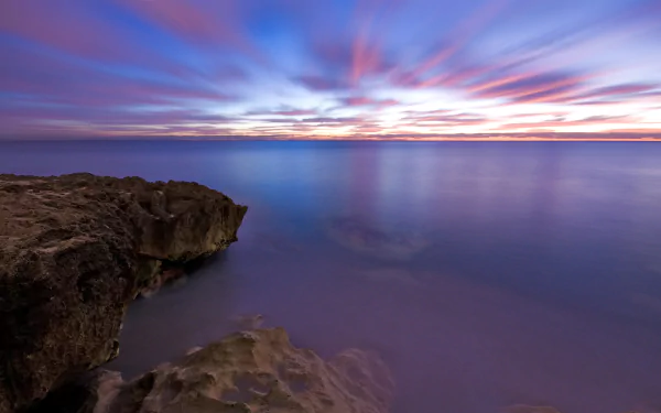  Magenta Morning