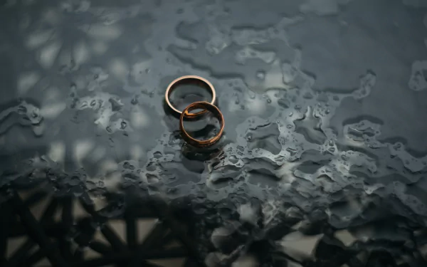 ring holiday wedding HD Desktop Wallpaper | Background Image