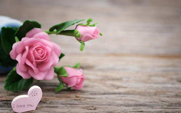  Pink Roses