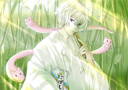 Byakuya from Kakuriyo no Yadomeshi stands in a bamboo forest, surrounded by pink fox spirits, in this HD anime desktop wallpaper and background.