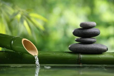 nature Zen Garden HD Desktop Wallpaper | Background Image