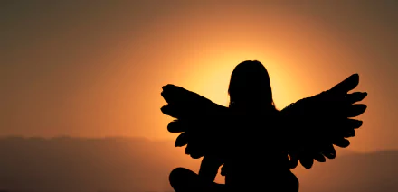 shadow woman angel HD Desktop Wallpaper | Background Image