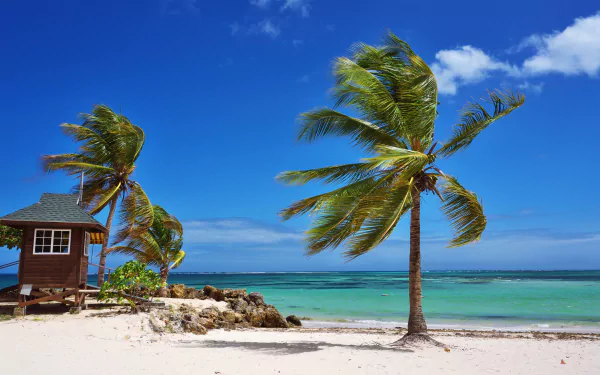 4K Ultra HD desktop wallpaper featuring a tropical beach with swaying palm trees, clear turquoise water, white sand, and a small wooden hut under a bright blue sky.