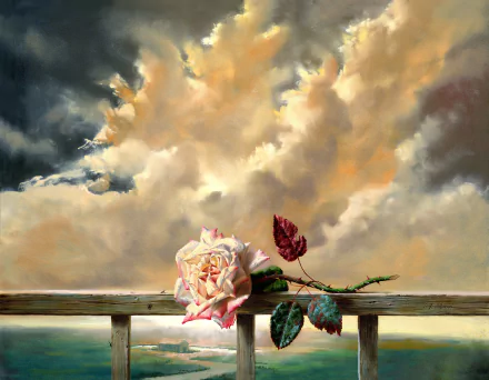 HD wallpaper of a pink rose on a wooden fence, set against a backdrop of dramatic, love-inspired clouds. Artistic and serene, this image beautifully blends the natural and the ethereal.