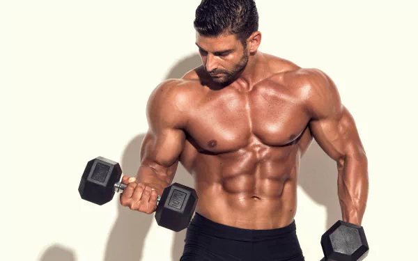 muscle weightlifting Sports HD Desktop Wallpaper | Background Image