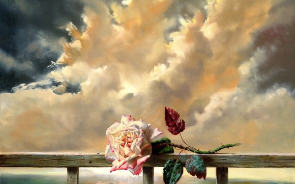 Artistic Rose Pink Rose Cloud Love HD Wallpaper | Background Image